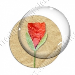 Image digitale - Coquelicot fond brun 02
