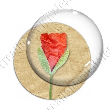 Image digitale - Coquelicot fond brun 02