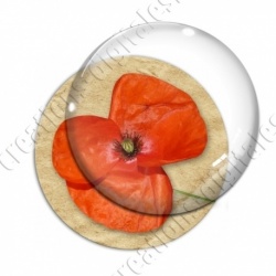 Image digitale - Coquelicot fond brun 03