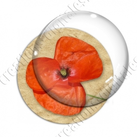 Image digitale - Coquelicot fond brun 03