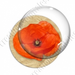 Image digitale - Coquelicot fond brun 04
