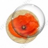 Image digitale - Coquelicot fond brun 04