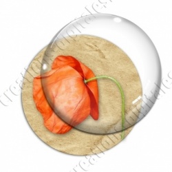 Image digitale - Coquelicot fond brun 05