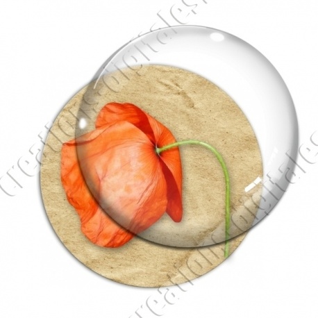 Image digitale - Coquelicot fond brun 05