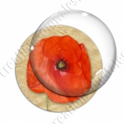 Image digitale - Coquelicot fond brun 06