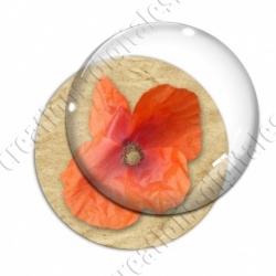 Image digitale - Coquelicot fond brun 07