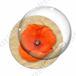 Image digitale - Coquelicot fond brun 09