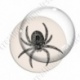 Image digitale - Halloween - Araignée