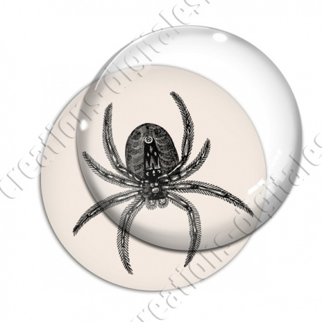 Image digitale - Halloween - Araignée