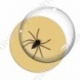 Image digitale - Halloween - Araignée