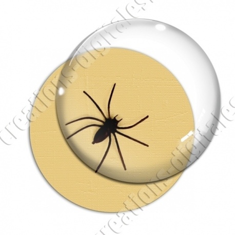 Image digitale - Halloween - Araignée