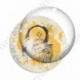 Image digitale - Halloween - Squelette