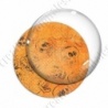 Image digitale - Halloween - Tête de mort