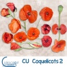 CU Coquelicots 02