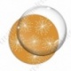 Image digitale - Motif pissenlit orange