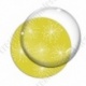 Image digitale - Motif pissenlit jaune