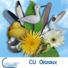 CU Oiseaux