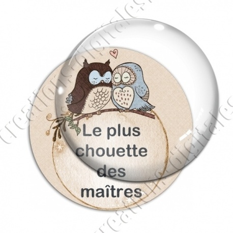 Image digitale - Le plus chouette des maîtres