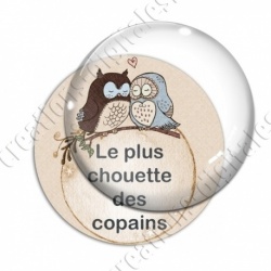 Image digitale - Le plus chouette des copains